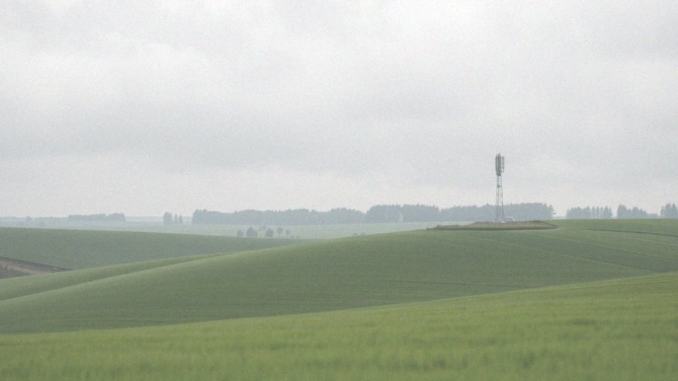 Jakie częstotliwości są zarezerwowane dla GSM?